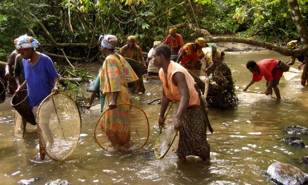 Food search congo & china